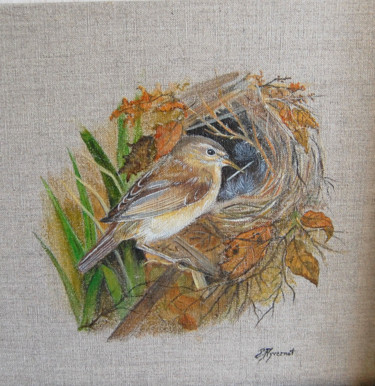 绘画 标题为“Pouillot au nid - a…” 由Patricia Hyvernat, 原创艺术品, 水彩