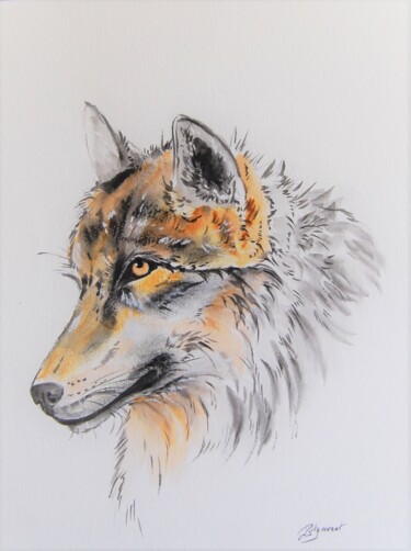 Drawing titled "loup -  dessin crai…" by Patricia Hyvernat, Original Artwork, Ink