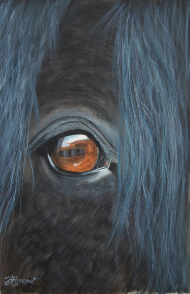 Schilderij getiteld "regard de frison -…" door Patricia Hyvernat, Origineel Kunstwerk, Aquarel