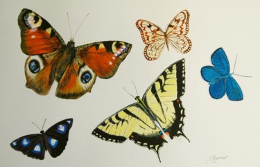 Peinture intitulée "collection papillon…" par Patricia Hyvernat, Œuvre d'art originale, Aquarelle