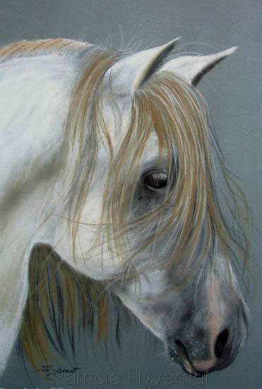 Drawing titled "caballero  - pastel…" by Patricia Hyvernat, Original Artwork, Pastel