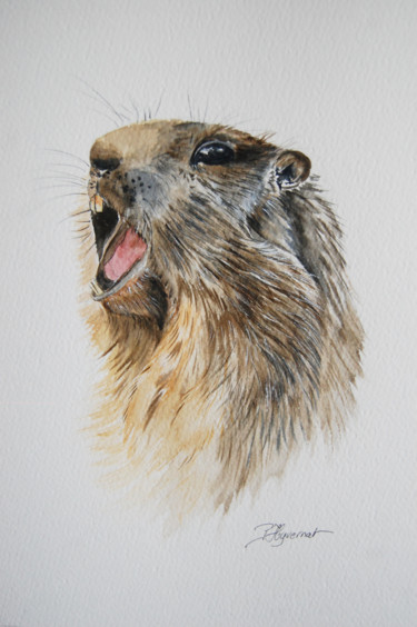 Peinture intitulée "portrait de marmott…" par Patricia Hyvernat, Œuvre d'art originale, Aquarelle