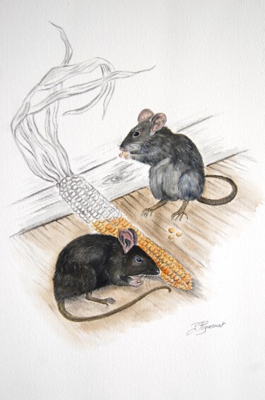 Painting titled "rats noirs - dessin…" by Patricia Hyvernat, Original Artwork, Watercolor