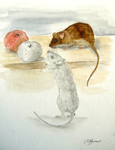Painting titled "rats surmulots -  c…" by Patricia Hyvernat, Original Artwork, Watercolor