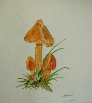 Pintura intitulada "champignons hygrocy…" por Patricia Hyvernat, Obras de arte originais, Aquarela