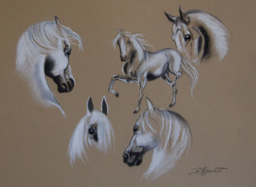 Dessin intitulée "etude chevaux  -  p…" par Patricia Hyvernat, Œuvre d'art originale, Craie