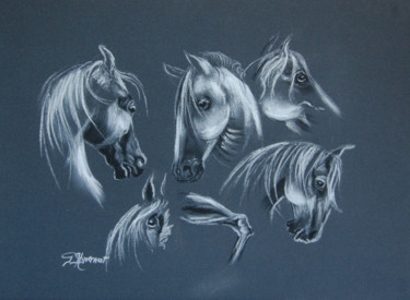 Disegno intitolato "étude chevaux  - de…" da Patricia Hyvernat, Opera d'arte originale, Gesso