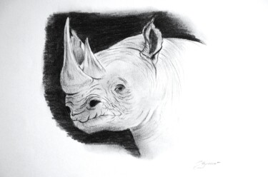 Drawing titled "rhinoceros  - dessi…" by Patricia Hyvernat, Original Artwork, Graphite