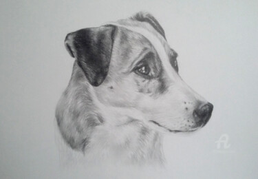 Drawing titled "Auftragsarbeit Hund" by Patricia Vogt, Original Artwork, Pencil