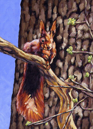 Malerei mit dem Titel "Eichhörnchen" von Patricia Vogt, Original-Kunstwerk, Acryl