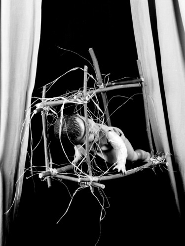 Fotografie mit dem Titel "L'évolution 2" von Patrick Botter, Original-Kunstwerk, Analog Fotografie Auf Andere starre Platte…