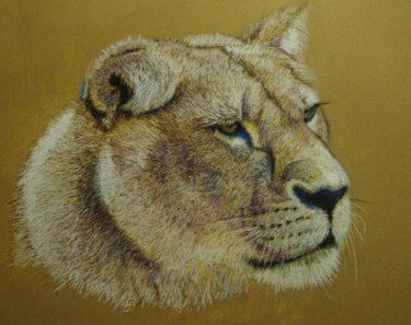 Tekening getiteld "lionne.jpg" door Patrick Dorigny, Origineel Kunstwerk