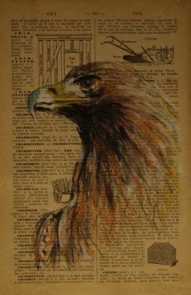 Dessin intitulée "Aigle" par Patrick Dorigny, Œuvre d'art originale, Fusain