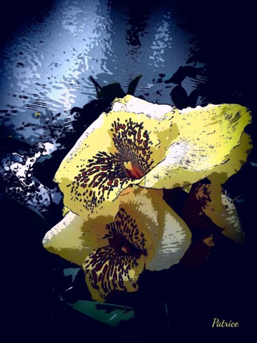Fotografía titulada "flower of Thailand" por Patrick John Bennett (Patrice), Obra de arte original, Fotografía digital
