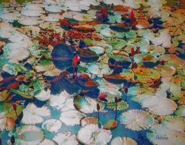 Fotografie mit dem Titel "Water Lilies 2023" von Patrick John Bennett (Patrice), Original-Kunstwerk, Digitale Fotografie