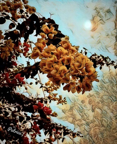 Photographie intitulée "Blossom before the…" par Patrick John Bennett (Patrice), Œuvre d'art originale, Photographie numériq…