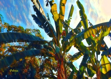 Digitale Kunst mit dem Titel "Welcoming "Bananas"" von Patrick John Bennett (Patrice), Original-Kunstwerk, Digitale Fotograf…