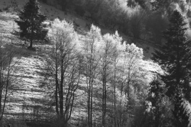 Photographie intitulée "Cimes argentées" par Patrick Kessler, Œuvre d'art originale, Photographie numérique