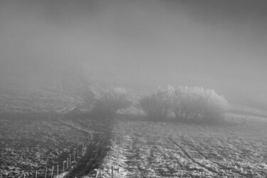 Fotografie getiteld "Le Chemin" door Patrick Kessler, Origineel Kunstwerk, Film fotografie