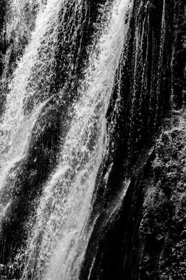 Photographie intitulée "Fraîcheur" par Patrick Kessler, Œuvre d'art originale, Photographie numérique