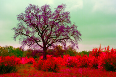 Arts numériques intitulée "Buissons rouges" par Patrick Kessler, Œuvre d'art originale, Travail numérique 2D