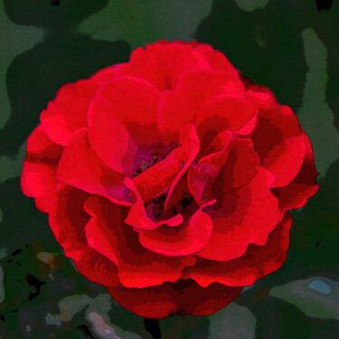 Digital Arts titled "Red corolla" by Patrick Kessler, Original Artwork, 2D Digital Work