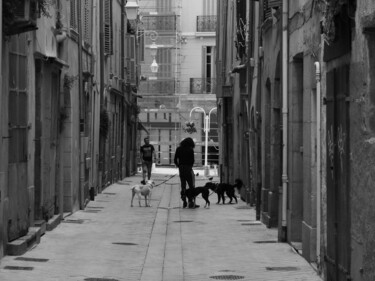 Photographie intitulée "Toulon,les chiens" par Patrick Lalande, Œuvre d'art originale, Photographie numérique