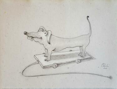 Drawing titled "Le chien de Nivelle" by Patrick Lalande, Original Artwork, Pencil