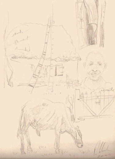 Drawing titled "portrait de céreel…" by Patrick Lalande, Original Artwork, Pencil