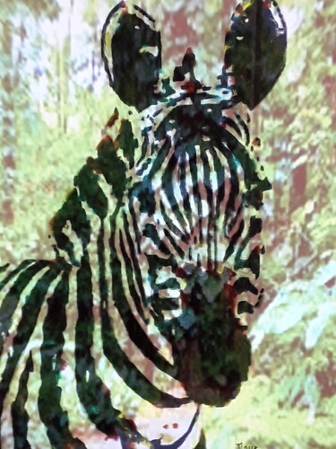 Digital Arts titled "Le zebre" by Patrick Mauxion (MAUX), Original Artwork, 2D Digital Work Mounted on Other rigid panel