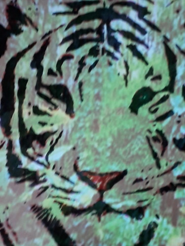 Arte digitale intitolato "Le tigre blanc" da Patrick Mauxion (MAUX), Opera d'arte originale, Lavoro digitale 2D Montato su A…
