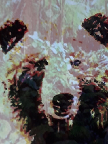 Arts numériques intitulée "L' ours brun" par Patrick Mauxion (MAUX), Œuvre d'art originale, Travail numérique 2D Monté sur A…