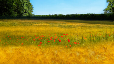 Fotografía titulada "Champ de blé et coq…" por Patrick Nguyen, Obra de arte original, Fotografía digital