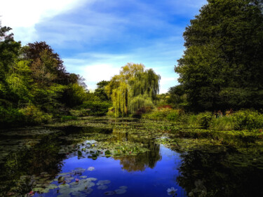 Photographie intitulée "le jardin de Monet…" par Patrick Nguyen, Œuvre d'art originale, Photographie numérique