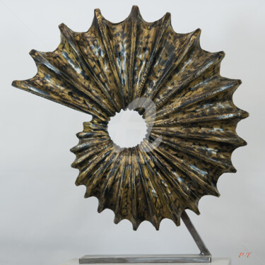 Sculpture intitulée "Ammonite (Erable Sy…" par Patrick Thubert, Œuvre d'art originale, Bois