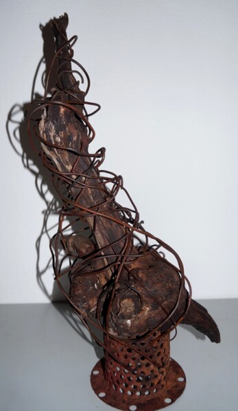 Sculpture titled "TROGNE1" by Patrick Tourtel, Original Artwork, Wire