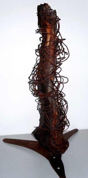 Sculpture titled "TROGNE2" by Patrick Tourtel, Original Artwork, Wire