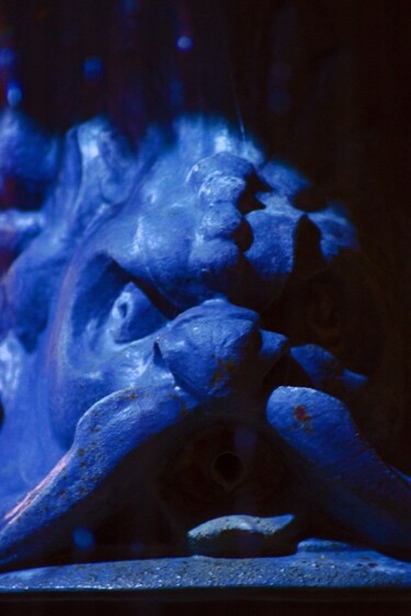 Fotografie mit dem Titel "Blue Dragon" von Patrick Wattebled, Original-Kunstwerk, Digitale Fotografie