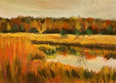 Peinture intitulée "Campagna con laghet…" par Patrizia Salcini, Œuvre d'art originale, Pastel