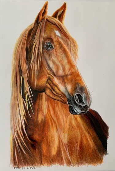 Pintura intitulada "Ritratto di cavallo" por Patrizia Salcini, Obras de arte originais, Conté