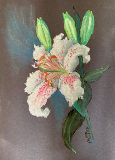 绘画 标题为“Lilium” 由Patrizia Salcini, 原创艺术品, 粉彩