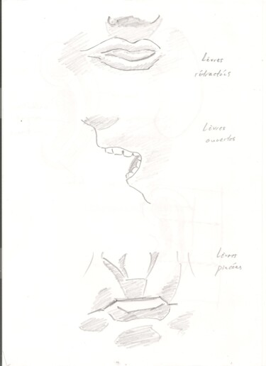 Drawing titled "Anatomie 5" by Paul-Éric Langevin, Original Artwork, Pencil