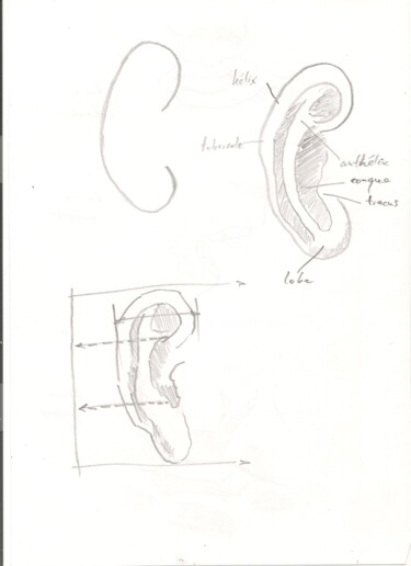 Disegno intitolato "Anatomie 6" da Paul-Éric Langevin, Opera d'arte originale, Matita