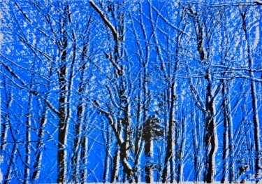 Druckgrafik mit dem Titel "Winterwald I" von Paul Jaklin, Original-Kunstwerk, Analogdruck