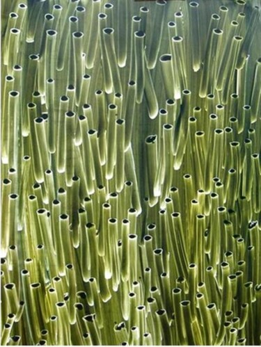 Картина под названием "JEUNES POUSSES" - Paul Sarrassat, Подлинное произведение искусства, Масло