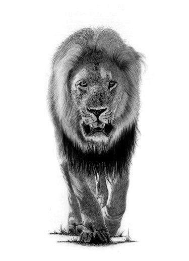 Rysunek zatytułowany „The Lion” autorstwa Paul Stowe, Oryginalna praca, Grafit