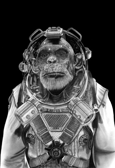 Dessin intitulée "Space Chimp" par Paul Stowe, Œuvre d'art originale, Graphite