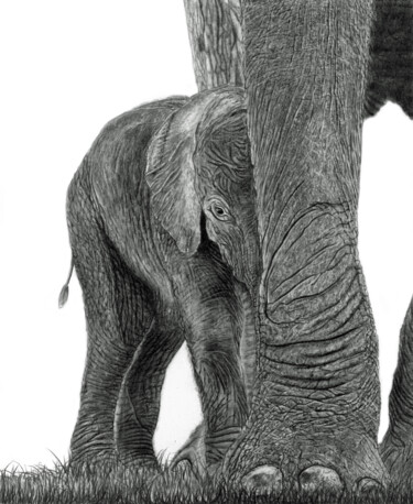 Tekening getiteld "Amongst Giants" door Paul Stowe, Origineel Kunstwerk, Potlood