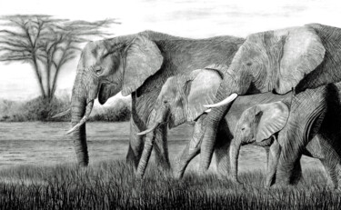 Рисунок под названием "Elephants on the Ma…" - Paul Stowe, Подлинное произведение искусства, Карандаш