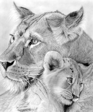 Drawing titled "Mother & Cub" by Paul Stowe, Original Artwork, Graphite